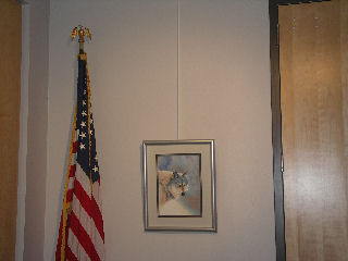 U.S. Flag and Art